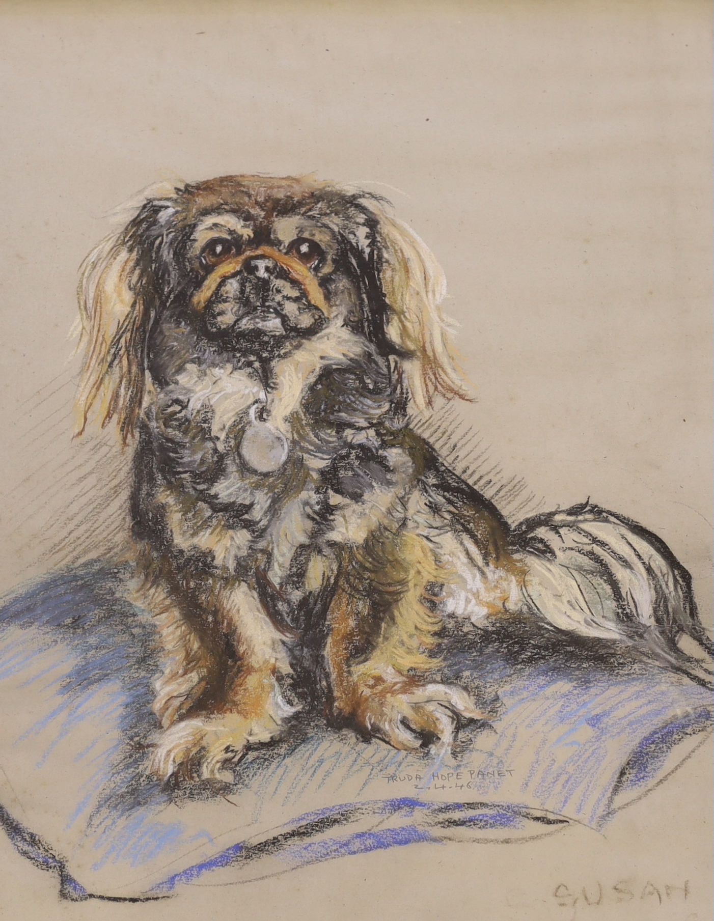 Truda Hope Panet, mid 20th century pastel, Portrait of a dog 'Susan', signed and dated, 50 x 40cm